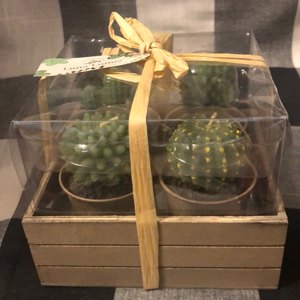 Sale 💚 NIB Luna Lumia potted Cactus Candles  - So cute! 🌵🏜️🕯️